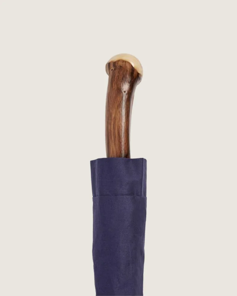 Chestnut root, navy canopy