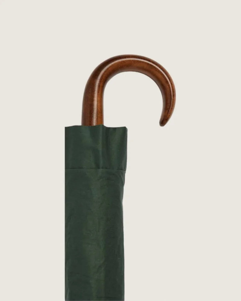 Maple wood crook, dark green canopy