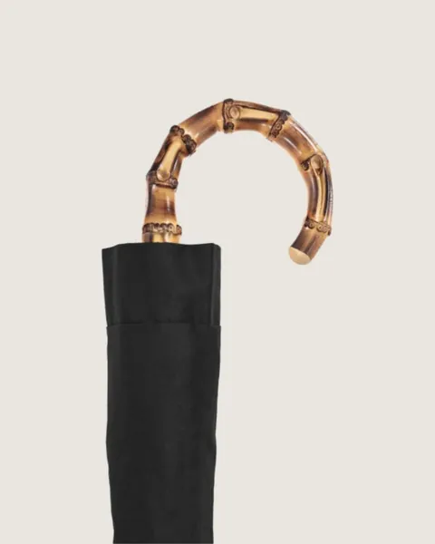 Whangee bamboo, black canopy